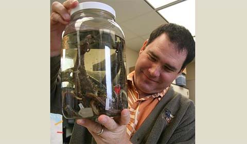 Dr. Chris Parkinson displays a snake specimen in a glass jar.