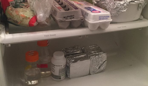 At first, Al Meyer's refrigerator had eggs on the middle shelf, experiments on the bottom.