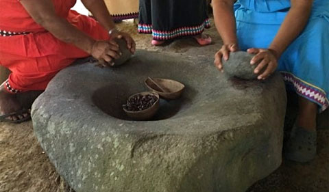Ngäbe women grinding the cocoa beans with large stones.
