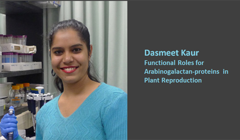 Dasmeet Kaur: Functional roles for Arabinogalactan-proteins in plant reproduction
