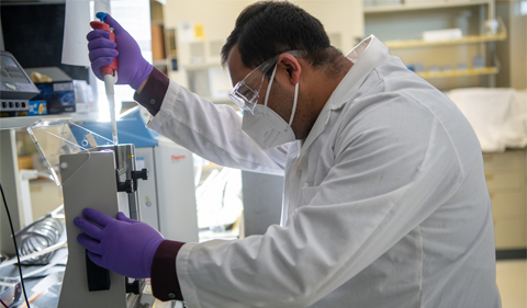 Graduate Student Md. Ismail Hossain works in Dr. Jennifer Hines' Lab.