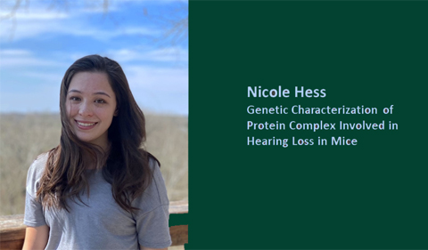 Nicole Hess: genetic characterization of protein complex involved in hearing loss in mice