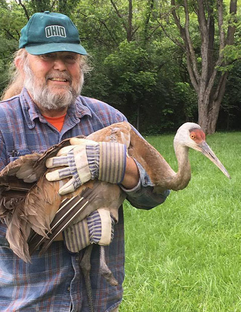 Scott Moody and a : rescued Sandhill crane on east State Street, Athens