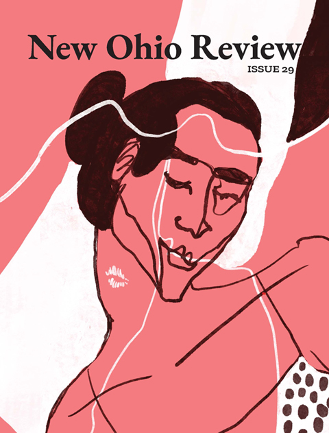 Cover art for New Ohio Review, issue 29