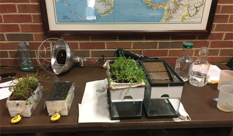 Models used to measure temperature and water runoff at a Physics Open House.  Photo by Dr. Kim Thompson