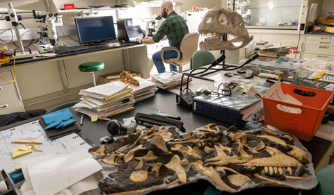 Riley Sombathy in the lab with Allosaurus samples