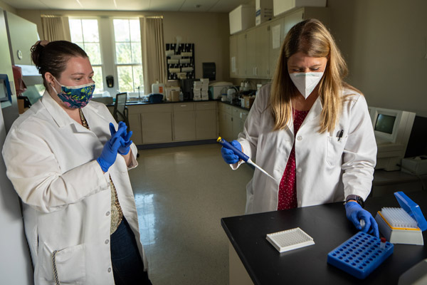 Lang and Zoccola work on testing samples in the Laboratory for Biological Specimens.